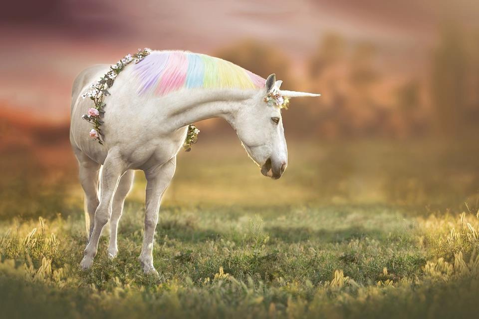 Rainbow Haired Unicorn jigsaw puzzle